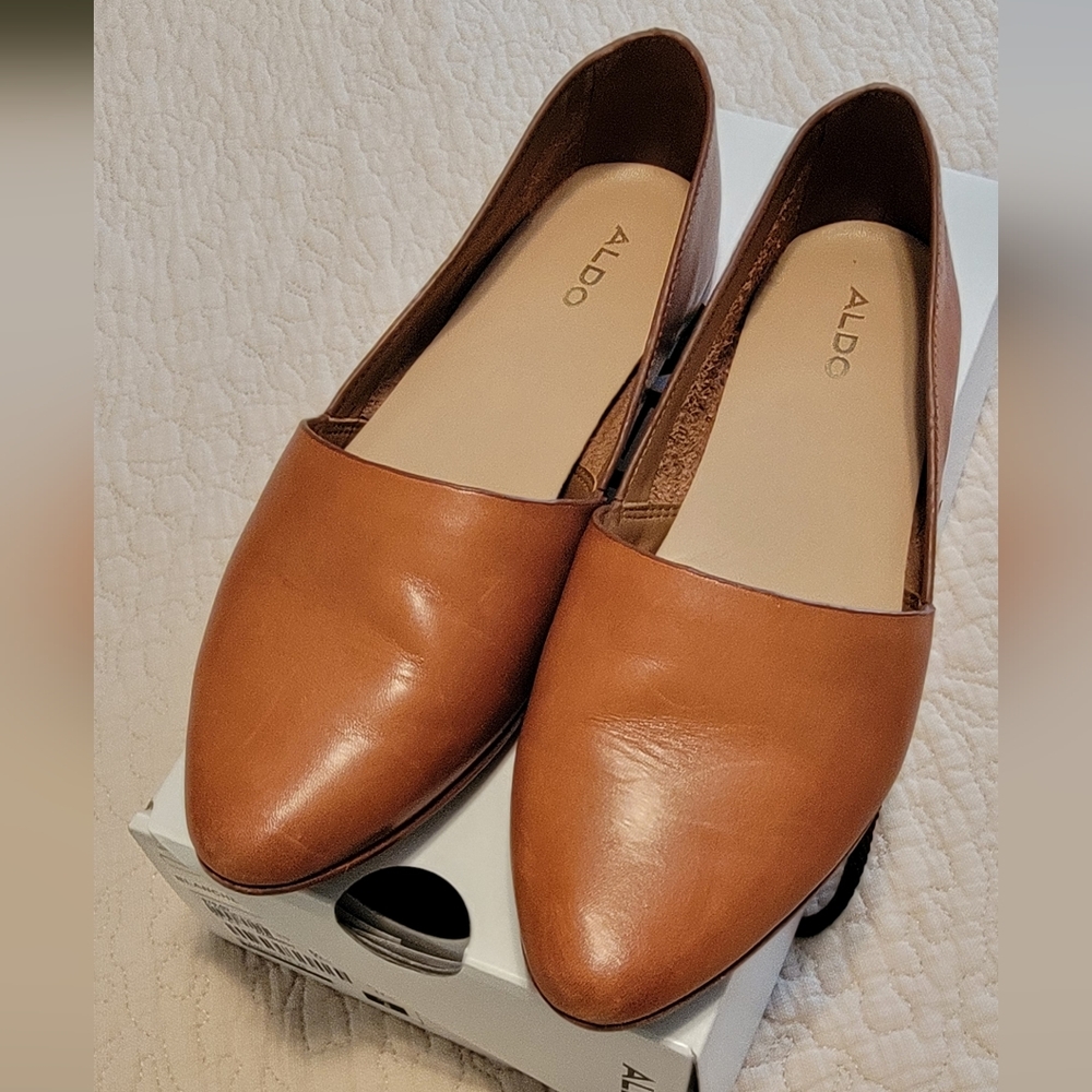 Aldo Blanchette flats